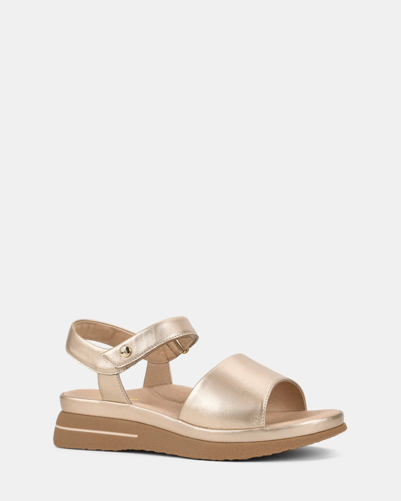 Hush Puppies