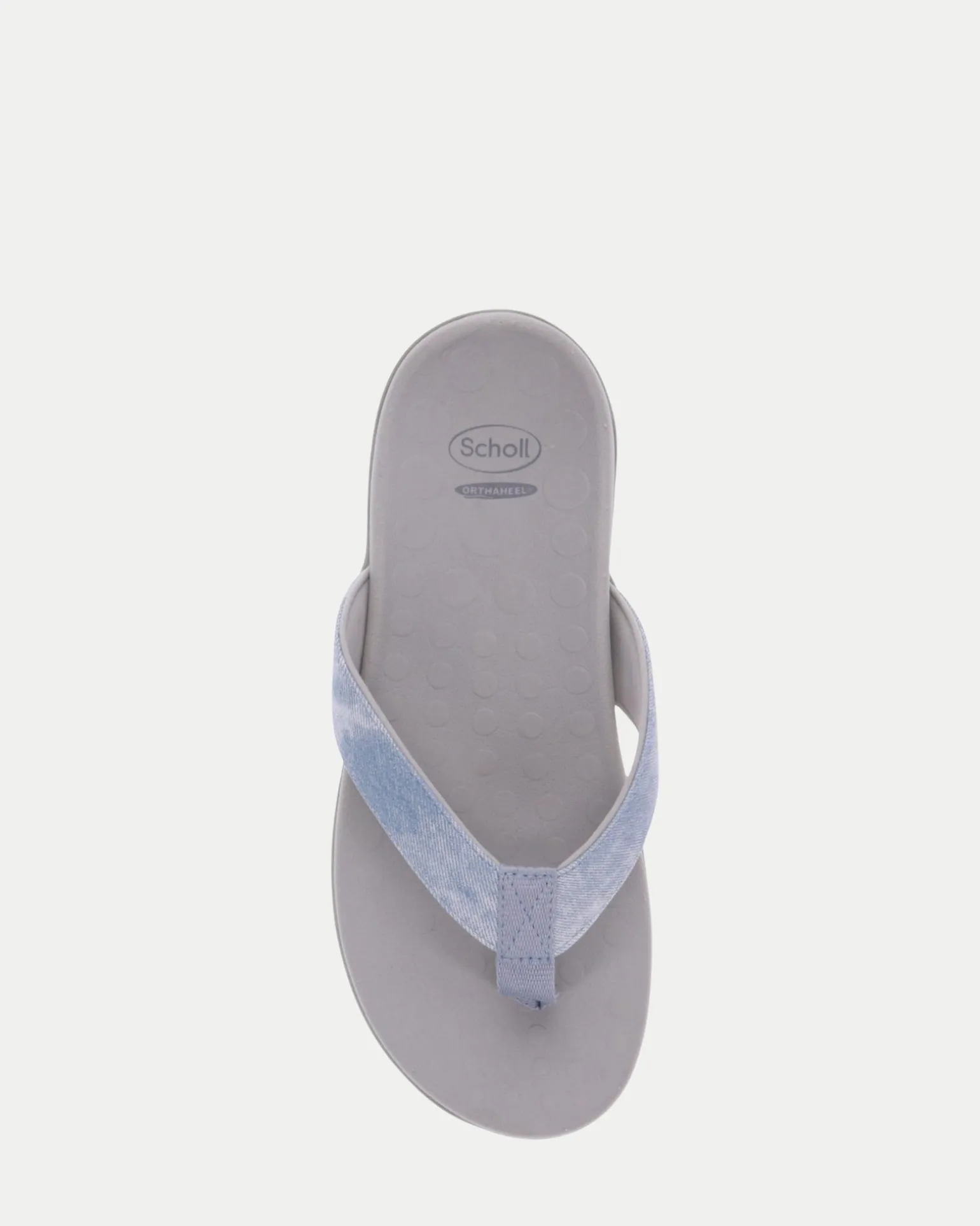 Scholl