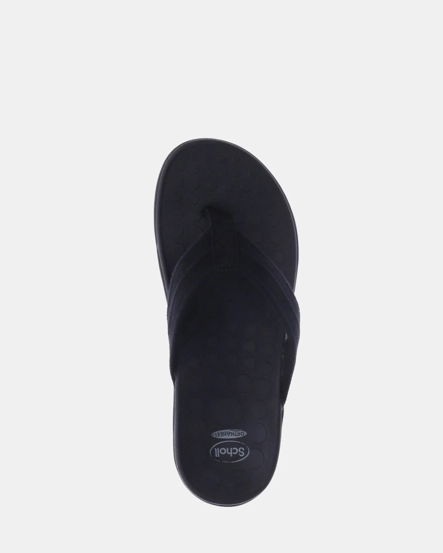 Scholl