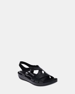 Scholl
