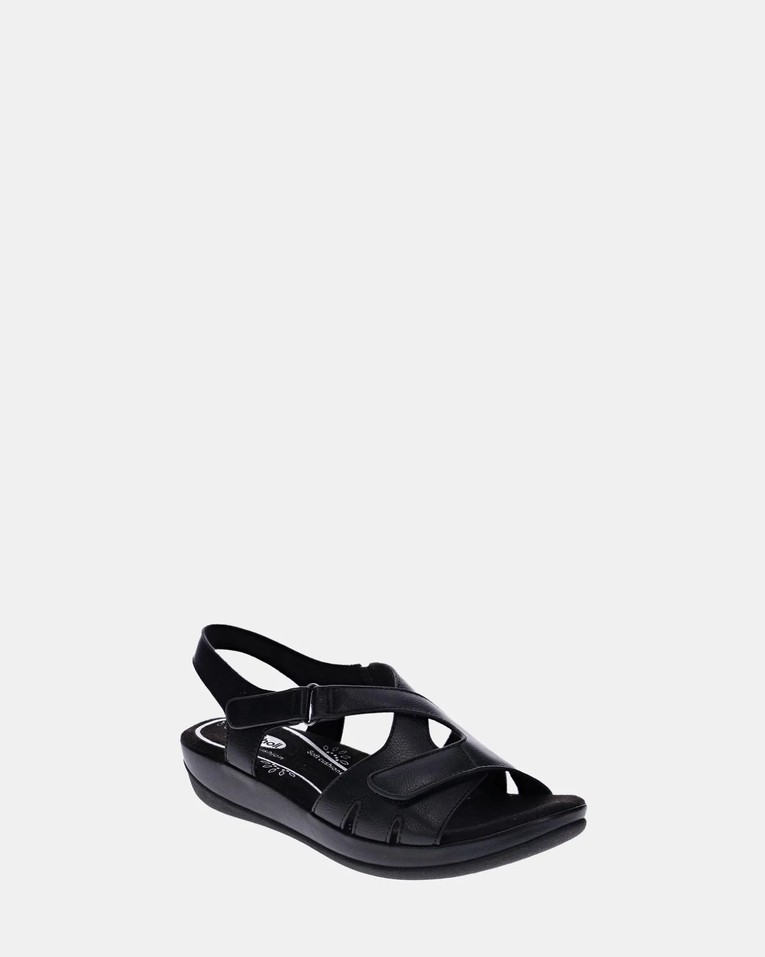 Scholl