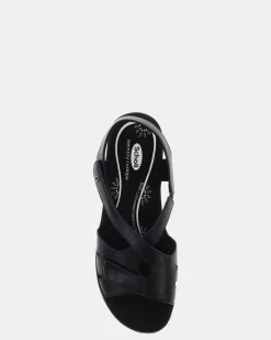 Scholl