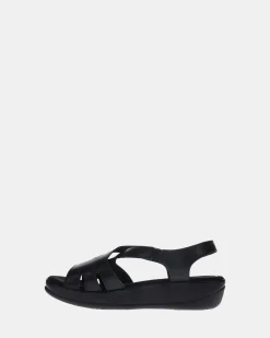 Scholl