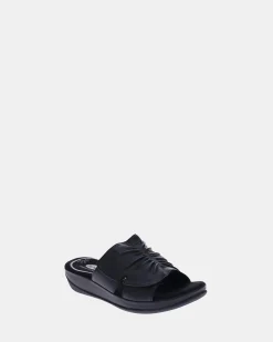 Scholl