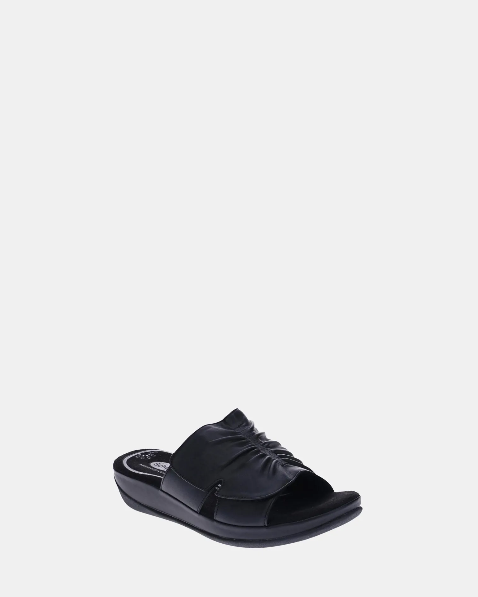 Scholl