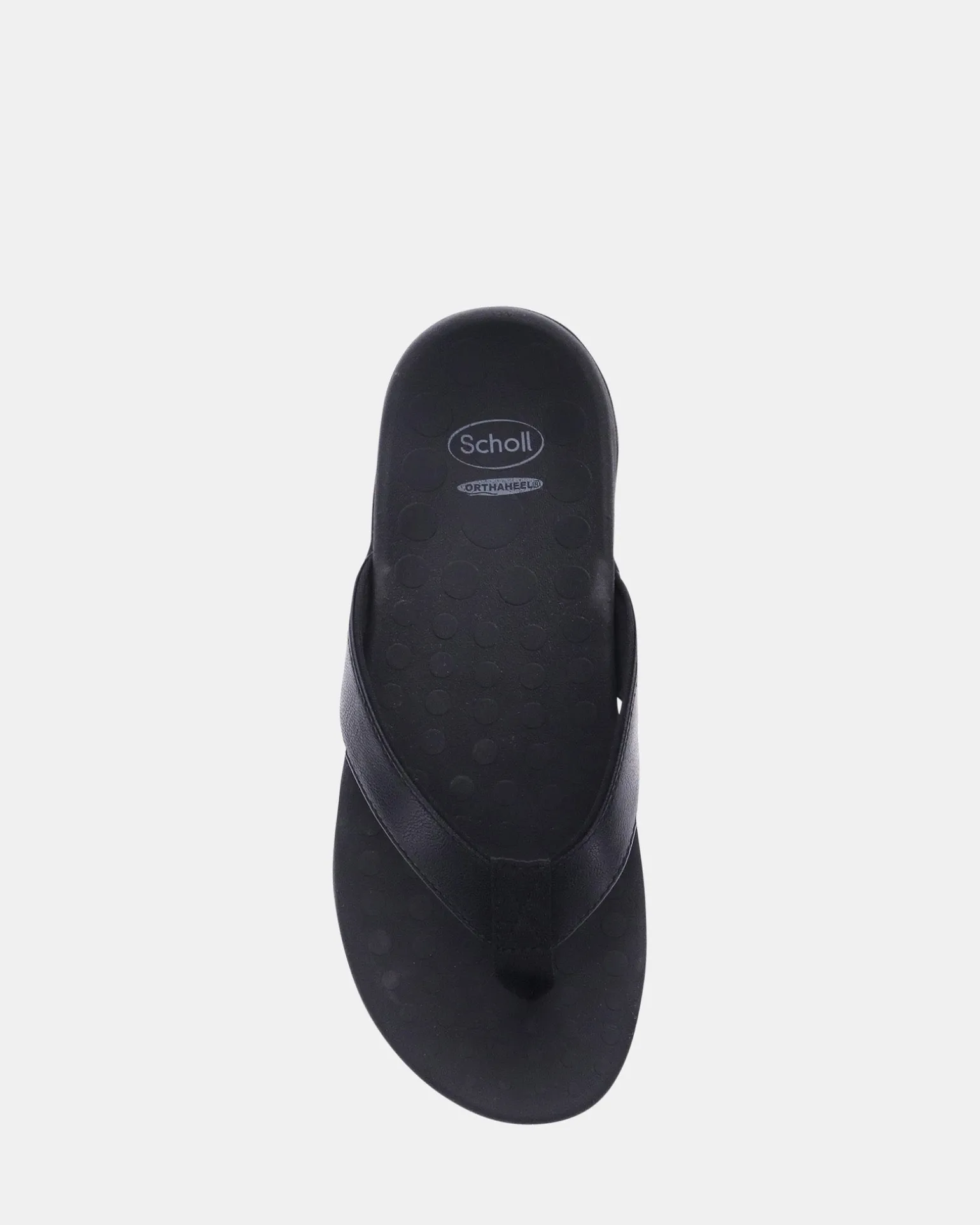 Scholl