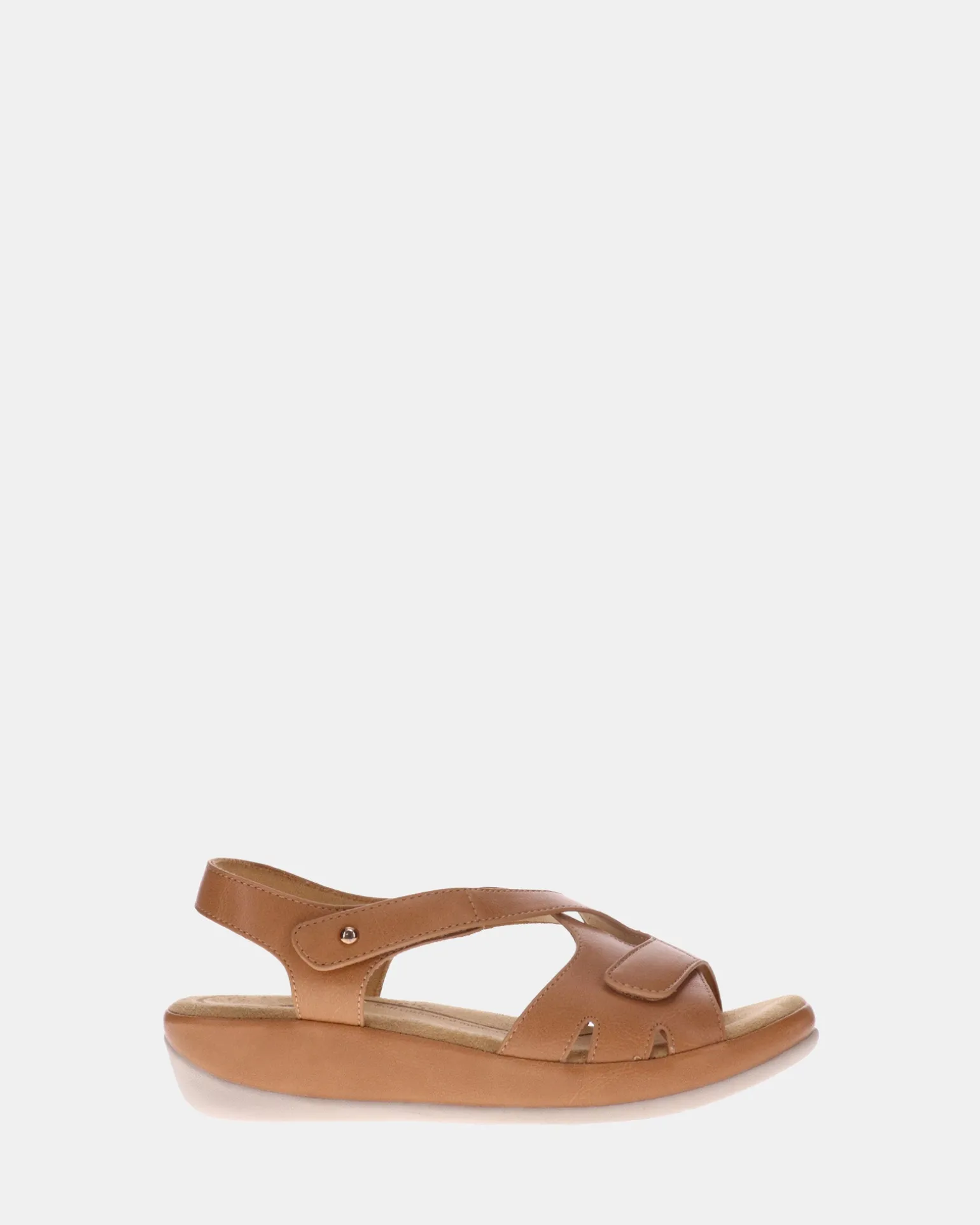 Scholl