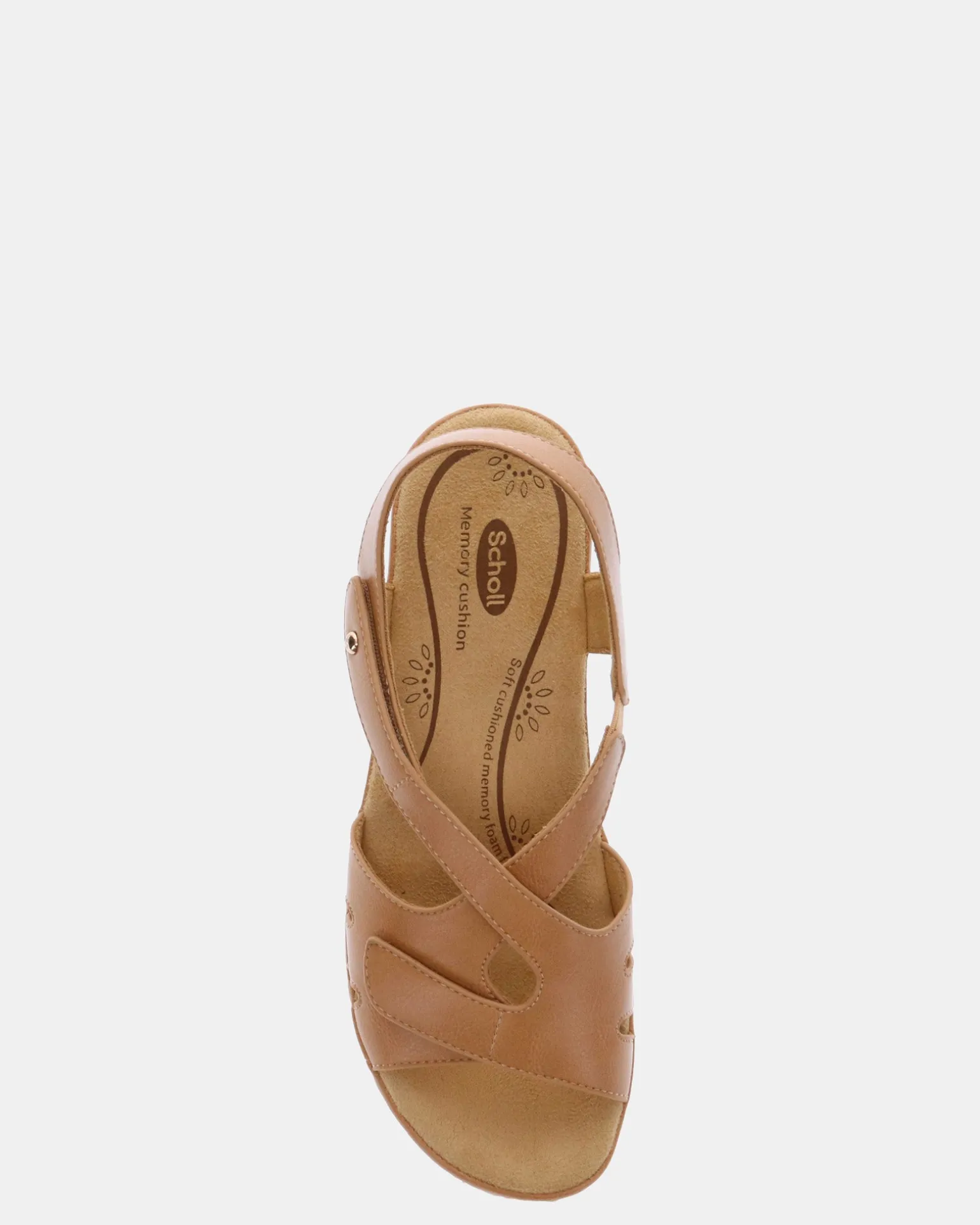 Scholl