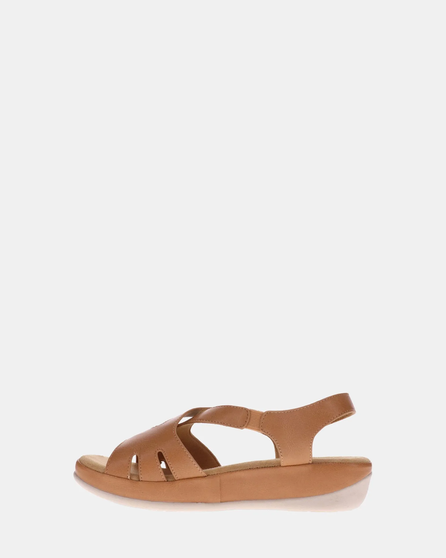 Scholl