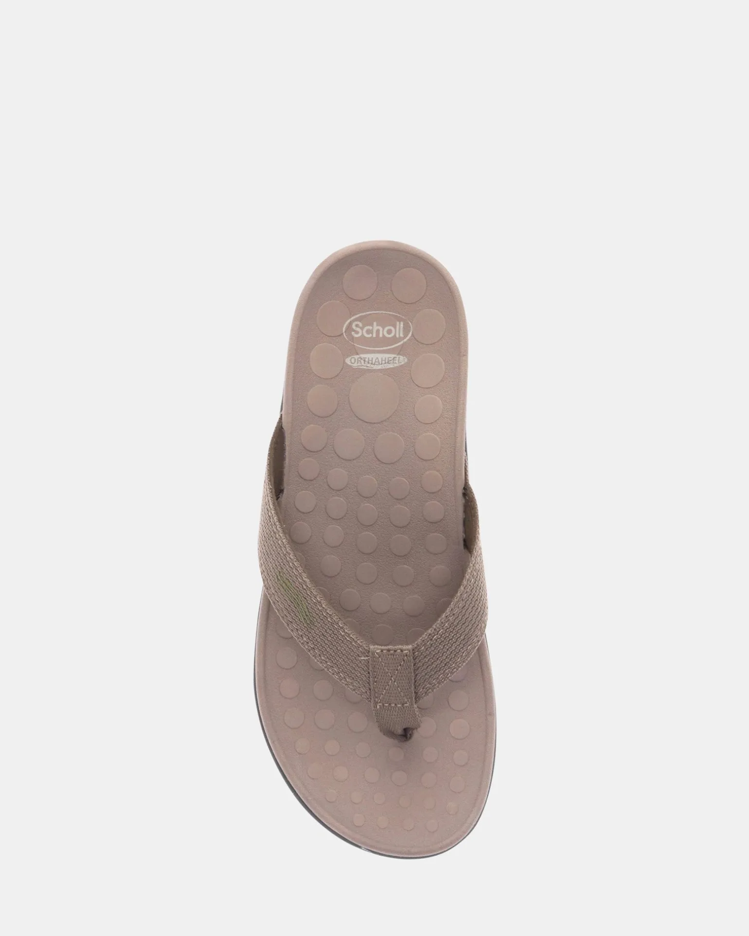 Scholl